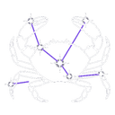 게자리
